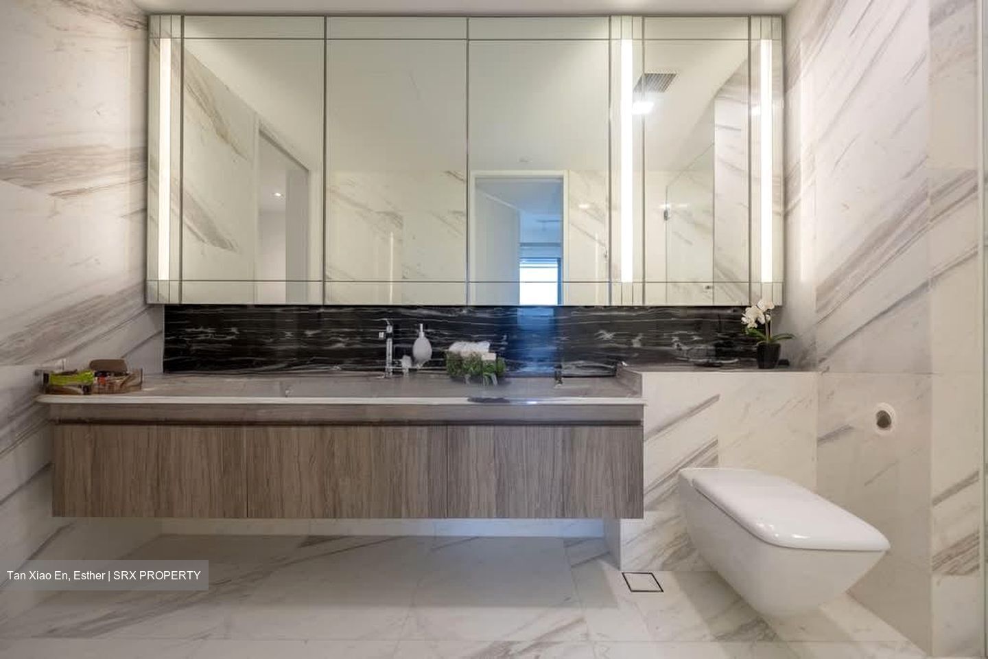 Wallich Residence  (D2), Condominium #586154281